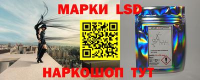 СК Краснознаменск
